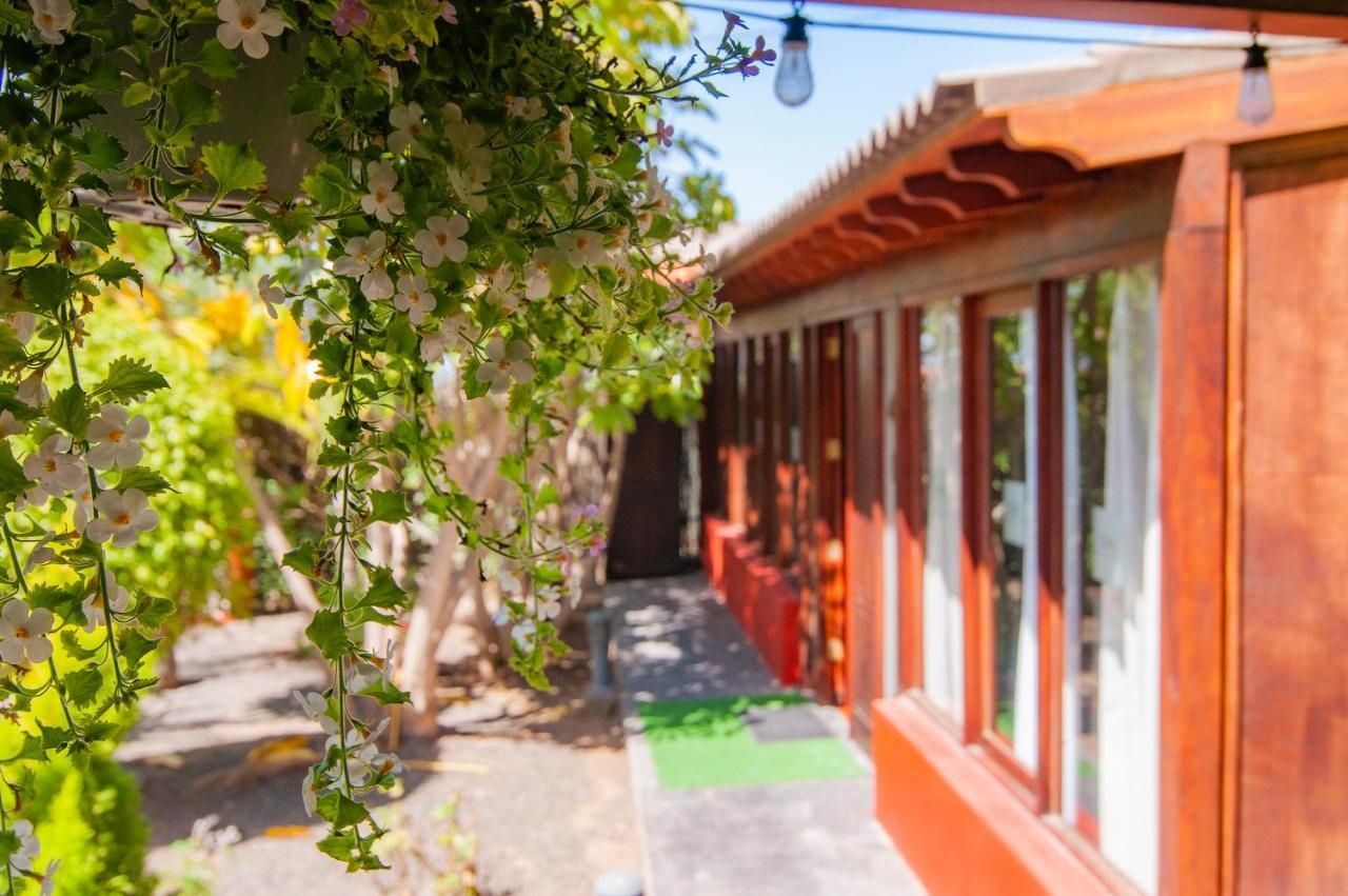 El Rincon Del Huroncillo Tejina Exterior photo